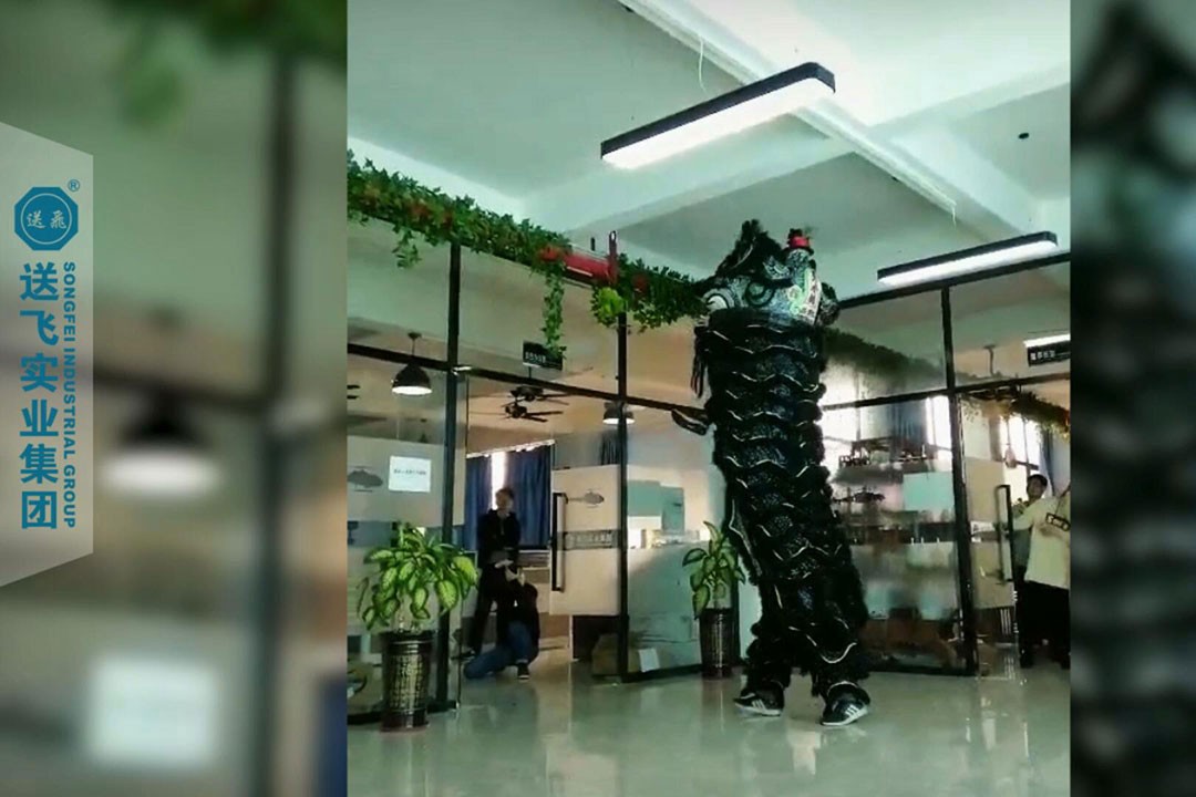 送飛實業(yè)集團：正月十五，舞獅鬧元宵 2019